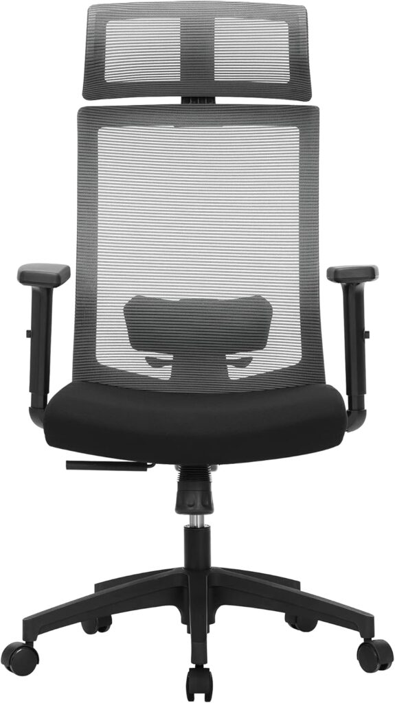 SONGMICS Bürostuhl OBN55BG, ergonomischer Schreibtischstuhl mit Netzbespannung, Lendenstütze und Kopfstütze, Grau