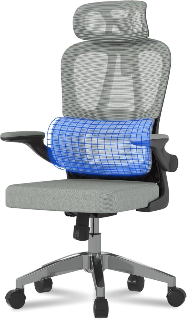 FLEXISPOT Bürostuhl mit Kopfstütze für ergonomisches Arbeiten